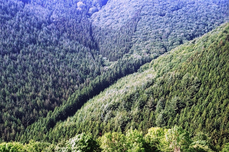 Luxemburg (4)