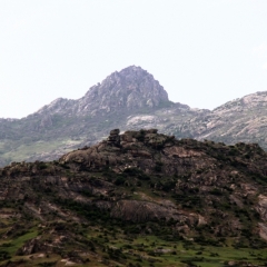Macadonie (120)