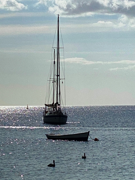 Martinique-22