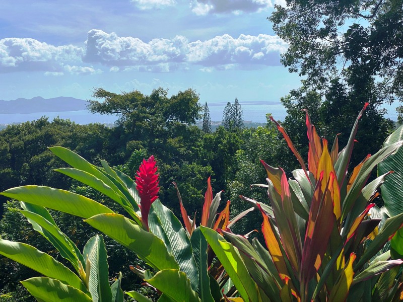 Martinique-34
