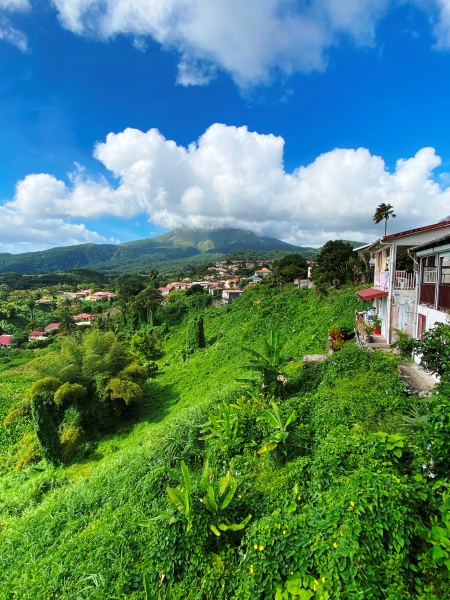 Martinique-35