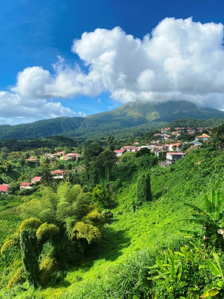 Martinique-36