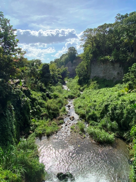 Martinique-38