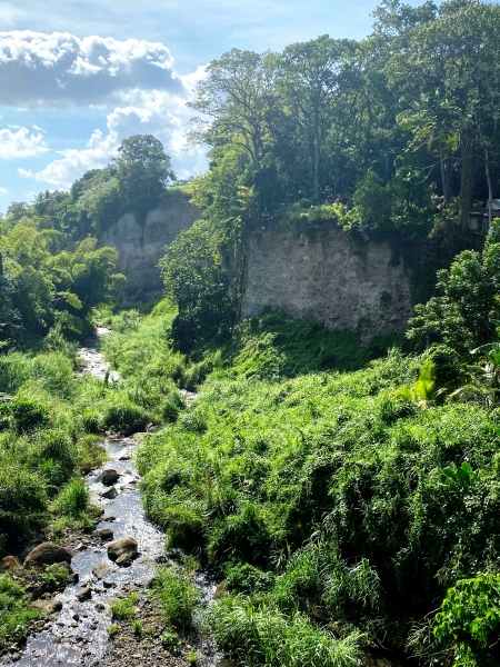 Martinique-39