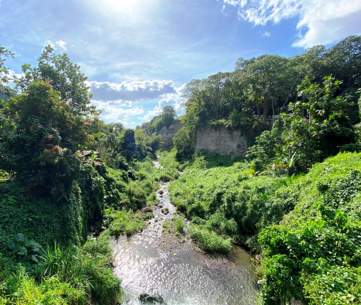 Martinique-44
