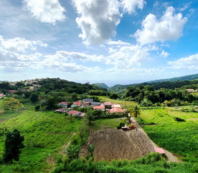 Martinique-45