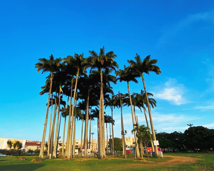 Martinique-49