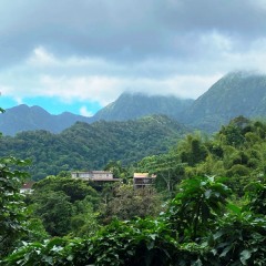 Martinique-29