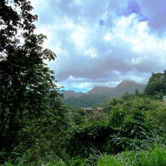 Martinique-30