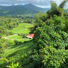 Martinique-31