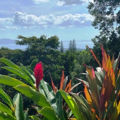 Martinique-34