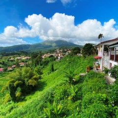 Martinique-35
