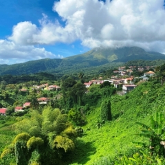 Martinique-36