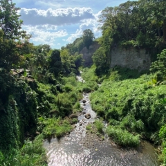 Martinique-38