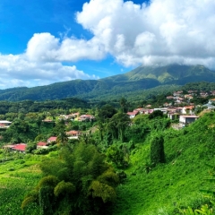 Martinique-40