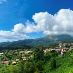 Martinique-41
