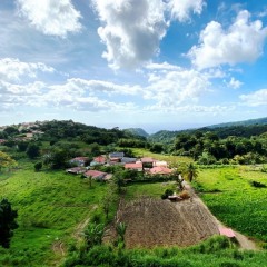 Martinique-45