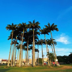 Martinique-49
