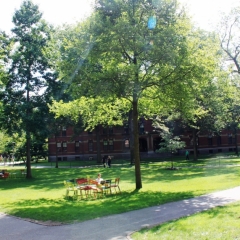 VS - Massachusetts (10)