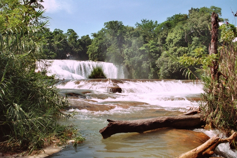 Mexico (19)