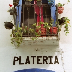 Mexico (44)