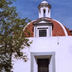 Mexico (49)