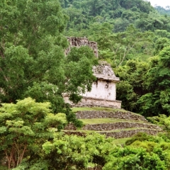 Mexico (6)