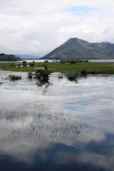 Montenegro (28)