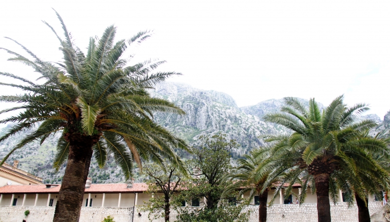 Montenegro (67)