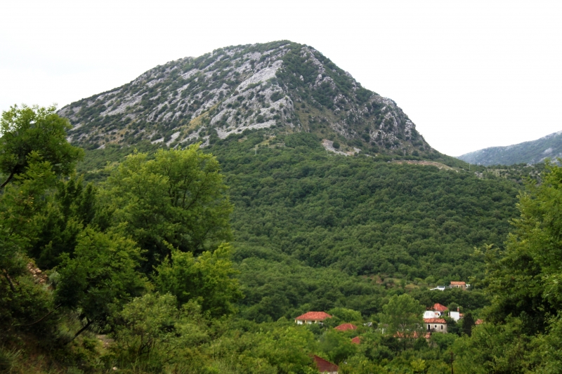 Montenegro (79)