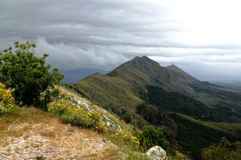 Montenegro (82)