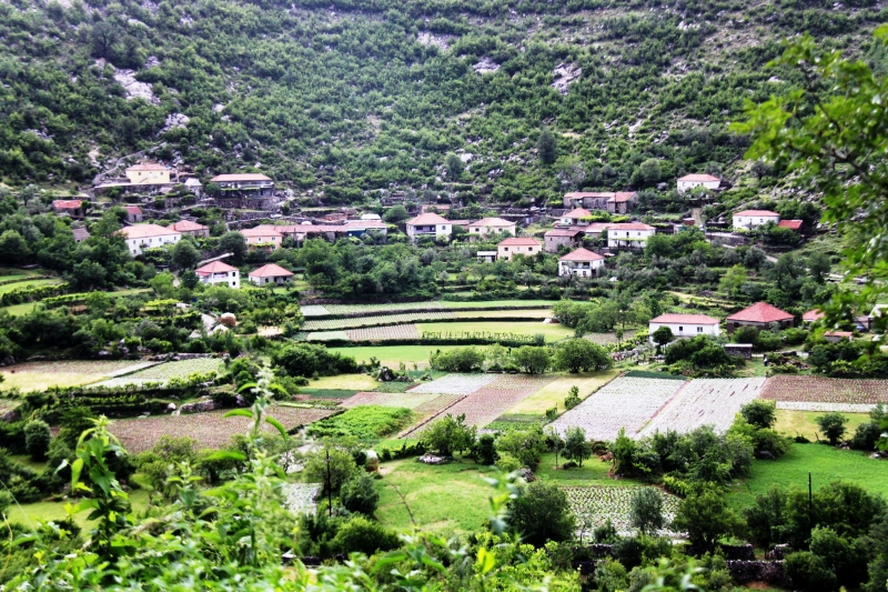 Montenegro (88)
