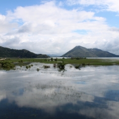 Montenegro (15)
