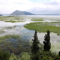 Montenegro (25)