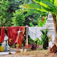 Myanmar (21)