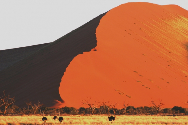 Namibie (26)