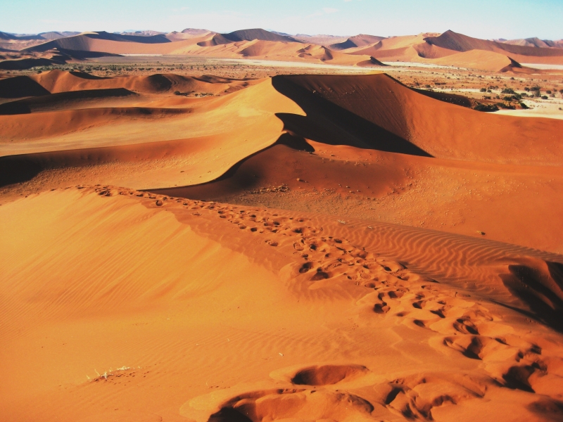 Namibie (28)