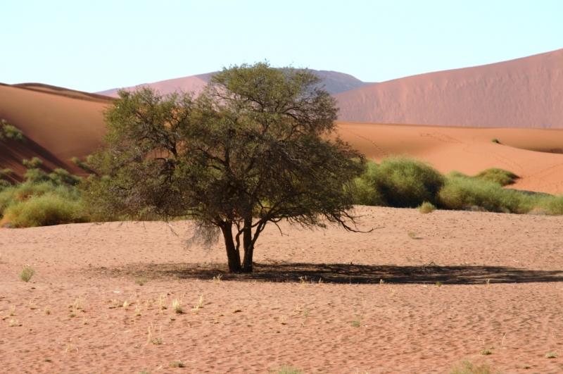 Namibie (31)