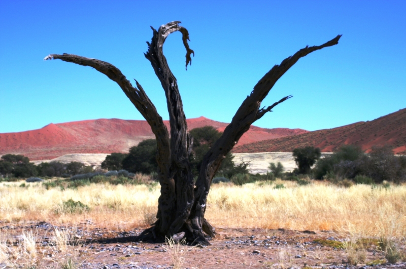 Namibie (32)