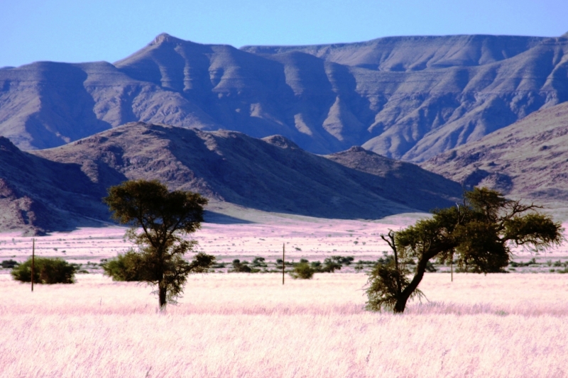 Namibie (52)
