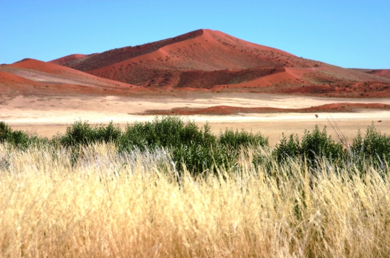 Namibie (56)