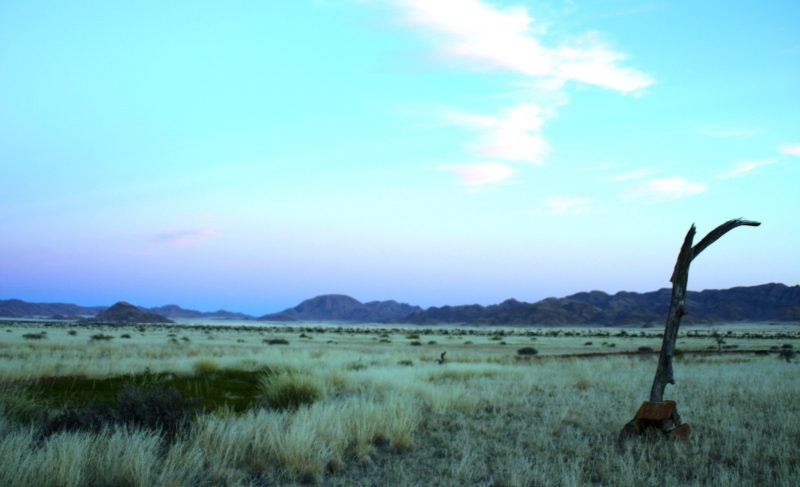 Namibie (79)