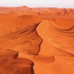Namibie (23)