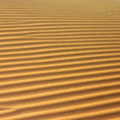 Namibie (37)
