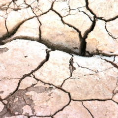 Namibie (46)