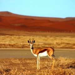 Namibie (9)