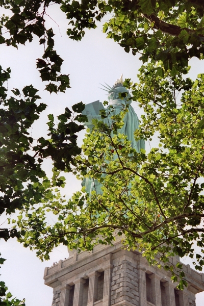 VS - New York (111)