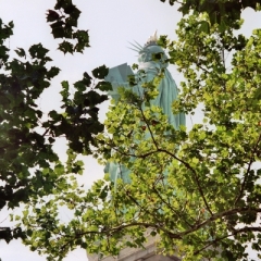 VS - New York (111)