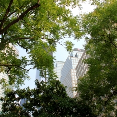 VS - New York (129)