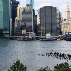 VS - New York (64)